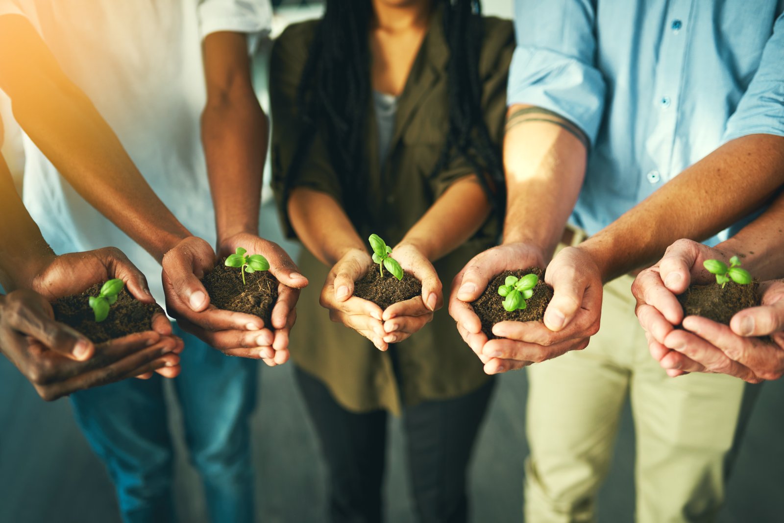 Sustainability at Skyland